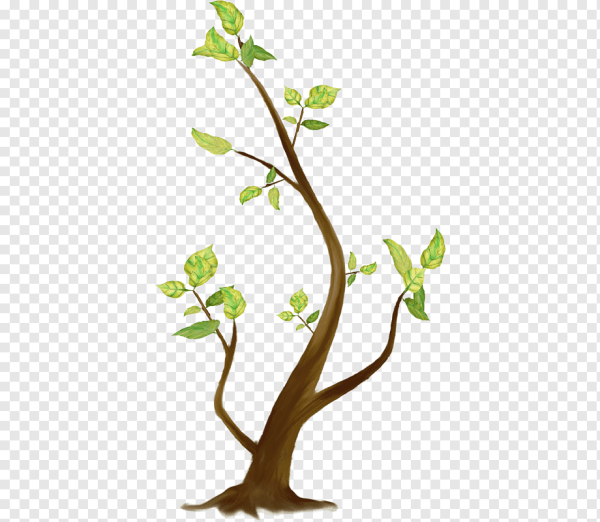 Ветка дерева мультяшная