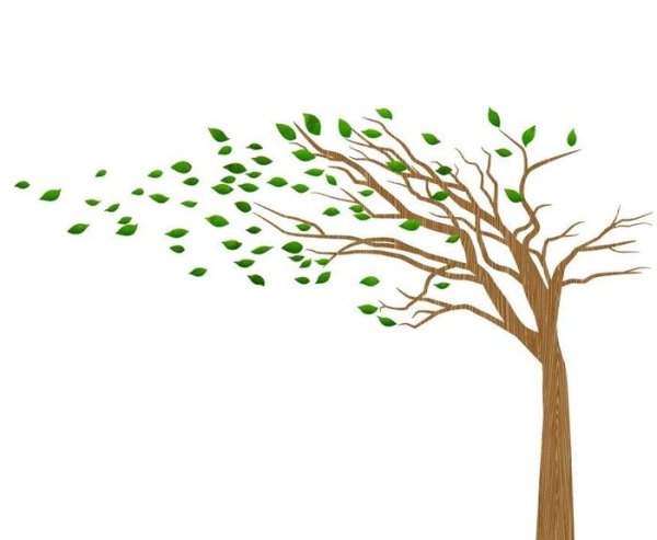 Дерево на ветру