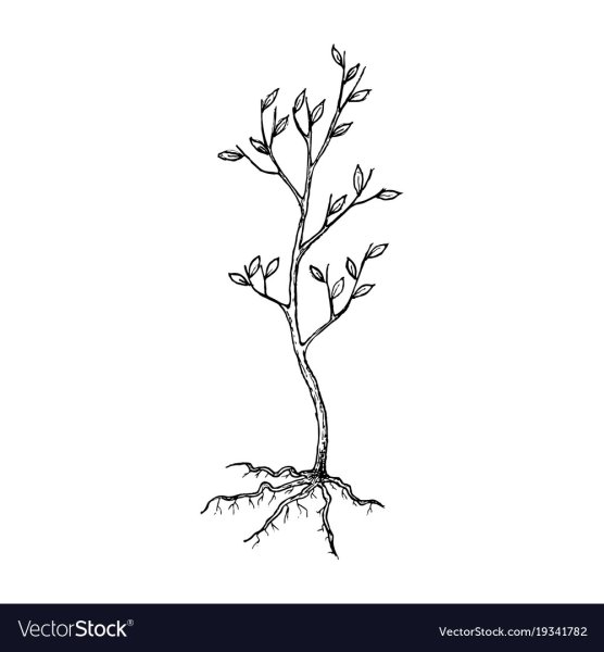Саженец дерева иллюстрация
