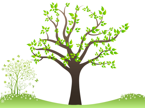 Саженцы деревьев на белом фоне