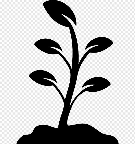 Дерево травматологии и ортопедии