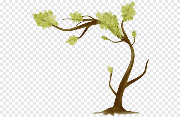 Поломанная ветка рисунок