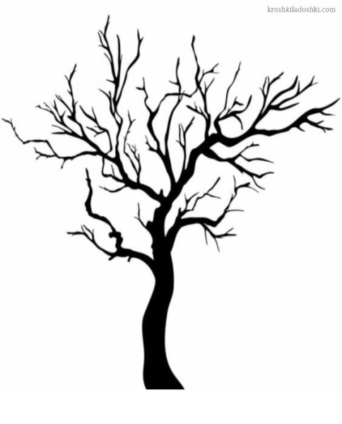 Молодое и старое дерево рисунок