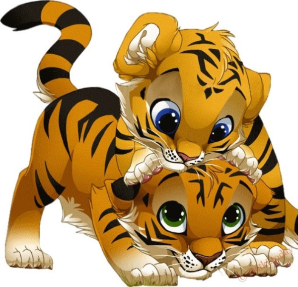 Тигр тигрица и Тигренок для детей