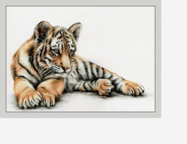 Нарисовать тигренка