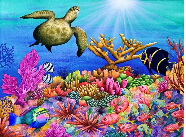 Кораллы для детей