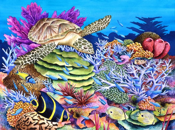 Мультяшные морские растения