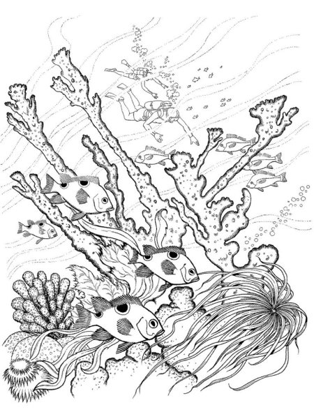 Коралловый риф для детей