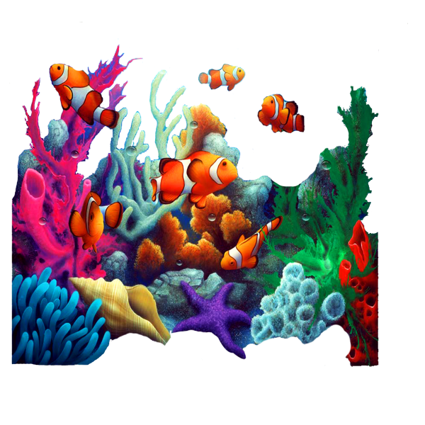 Кораллы для рисования