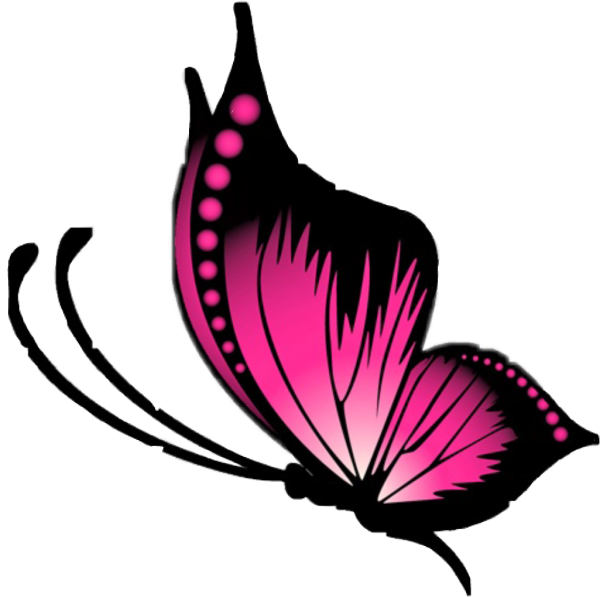 Цветные бабочки боком