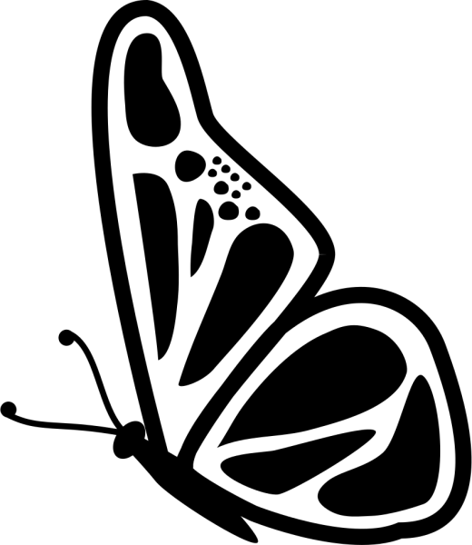 Бабочка вектор