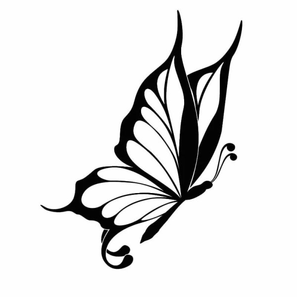 Бабочка тату эскиз