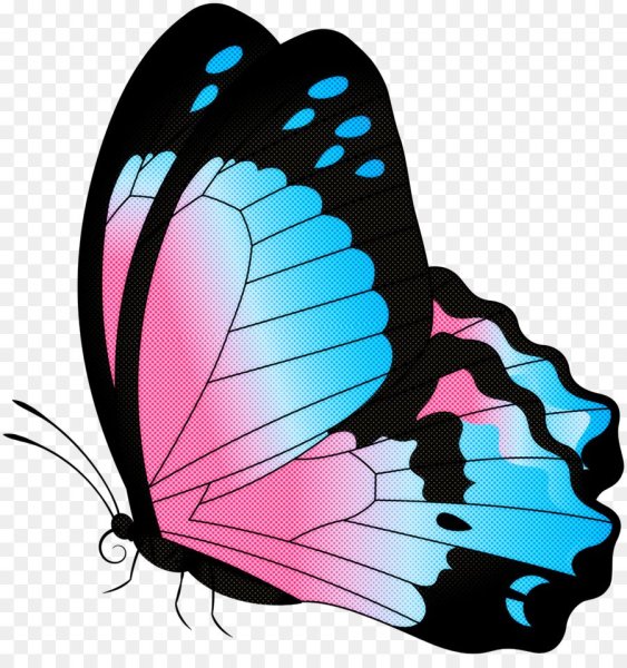 Бабочка без фона