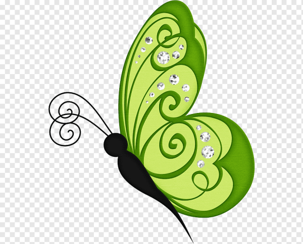 Бабочка зеленая мультяшная