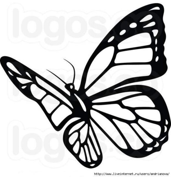 Трафарет бабочки боком