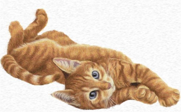 Кошка лежит рисунок