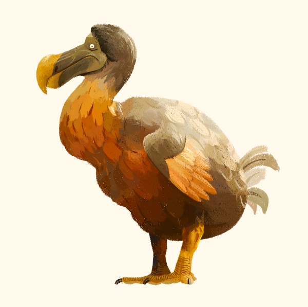 Бурбонский Дронт