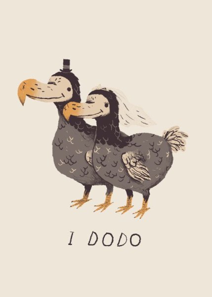 Дронт раскраска