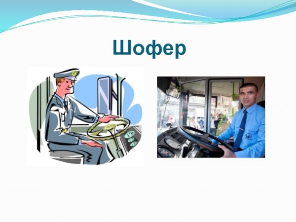 Профессия шофер для детей