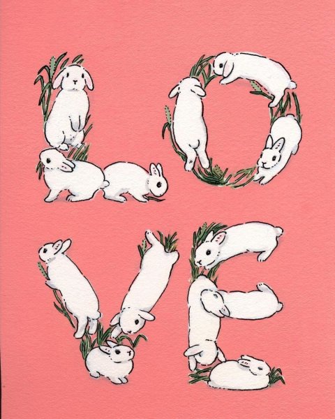 Кроличья лапка иллюстрация