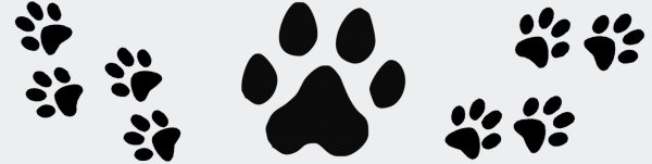 Розовые лапки