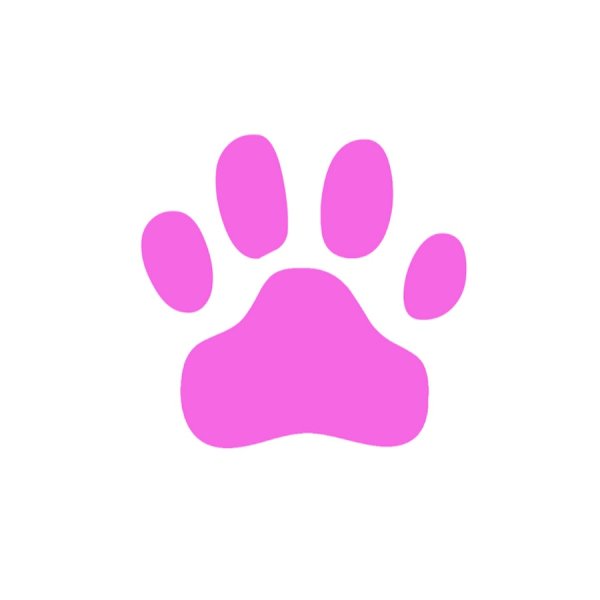 Лапка Кейт лапка