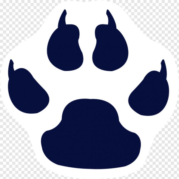 Ушки кролика референс