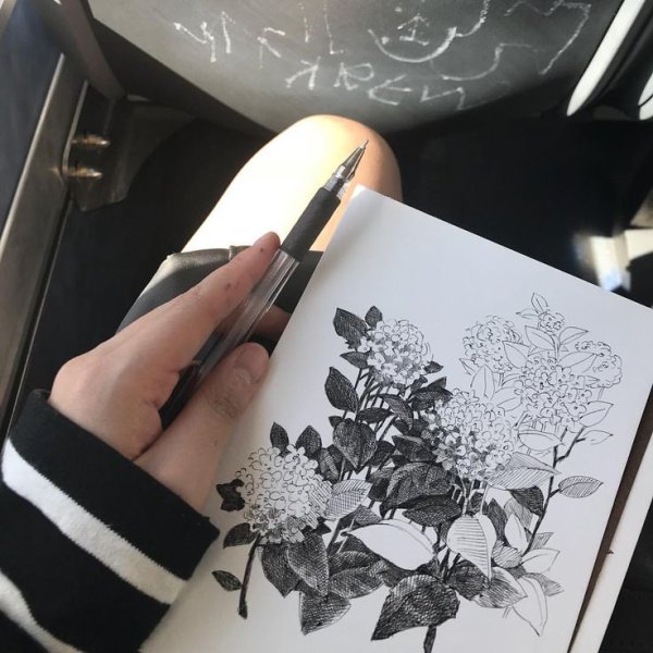 Скетчбук лайнером