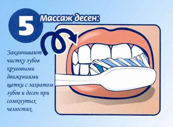 Как правильно чистить зубы
