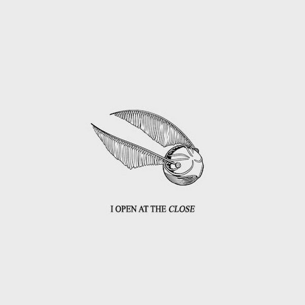 Гарри Поттер ловит золотой снитч