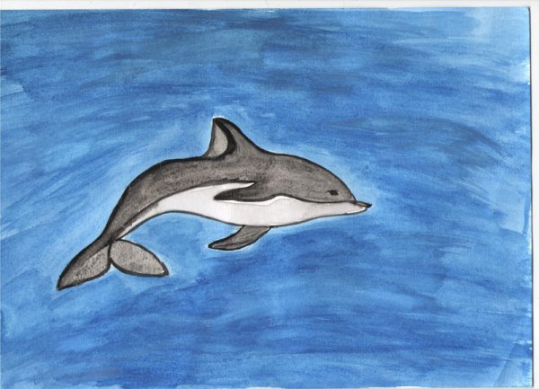 Белолобый Дельфин