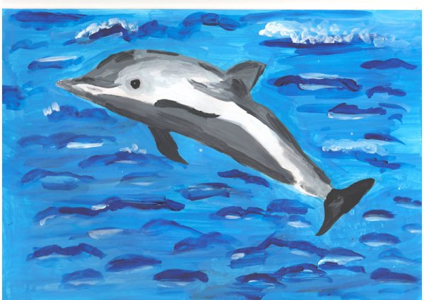 Белобокий Дельфин красная книга России