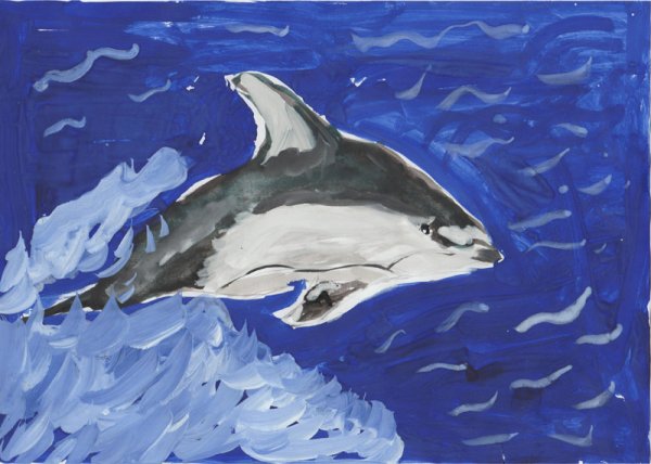 Рисунок беломордого дельфина
