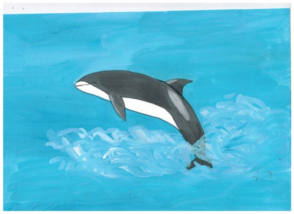 Беломордый Дельфин из красной книги рисунок