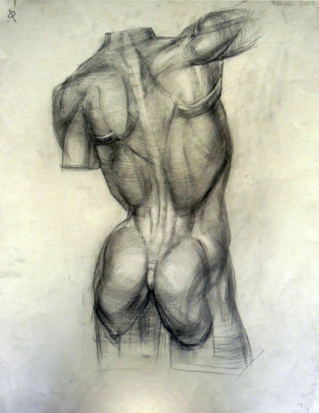 Экорше спина