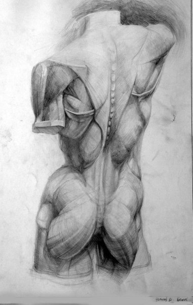 Спина набросок