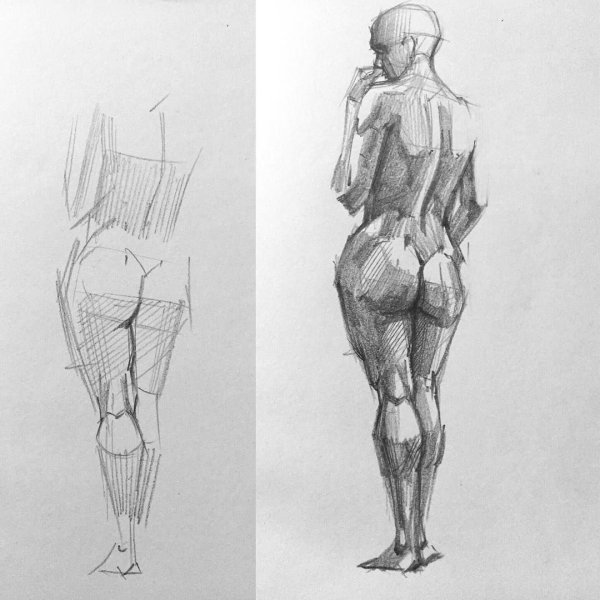 Рыжкин анатомия