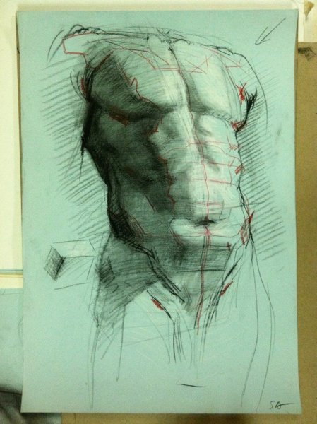 Баммес анатомия женская фигура