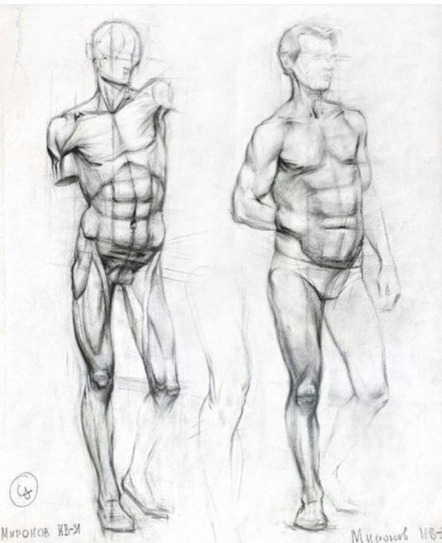 Торс Венеры Академический рисунок