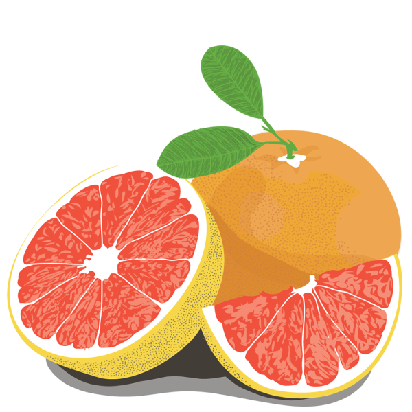 Грейпфрут мультяшный
