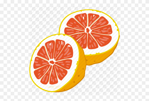 Грейпфрут вектор