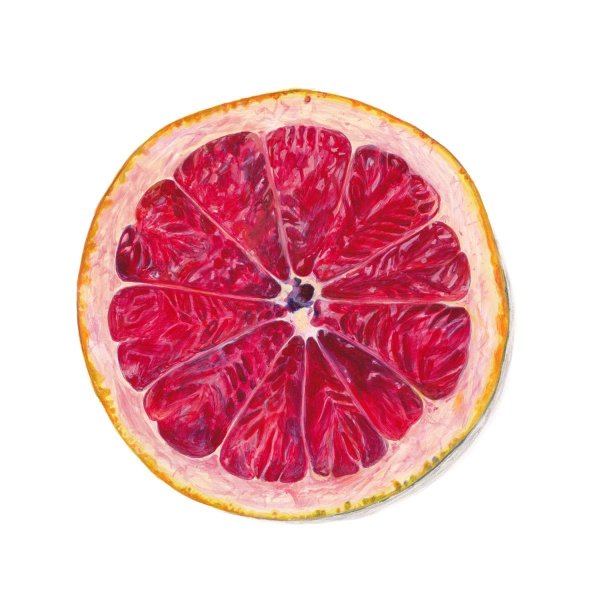 Грейпфрут на прозрачном фоне