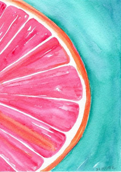 Грейпфрут акварелью