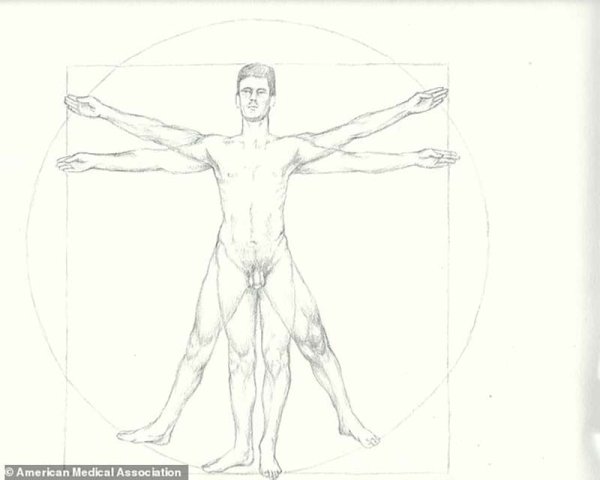 Провиантский человек Леонардо да Винчи