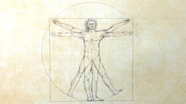 Vitruvian man Леонардо да Винчи