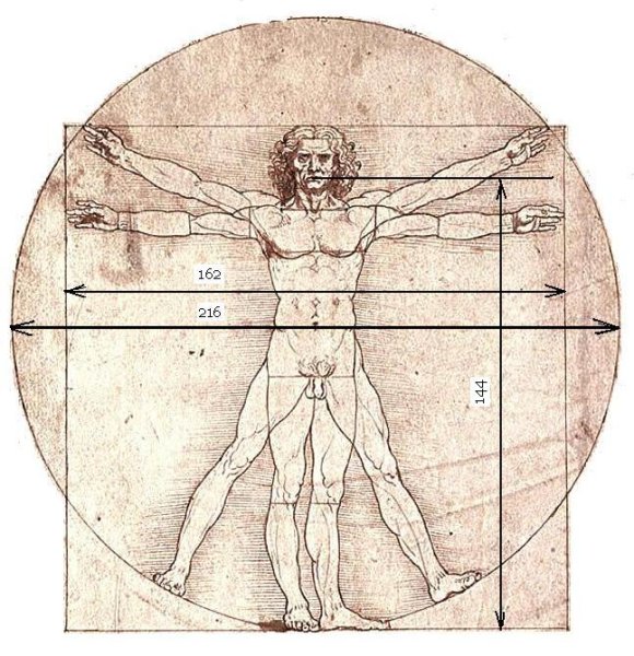 Пропорции тела человека Леонардо да Винчи