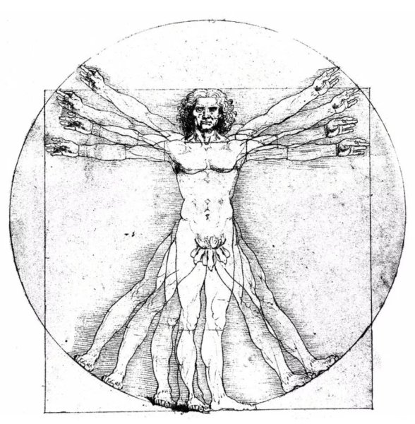 Человек Леонардо да Винчи