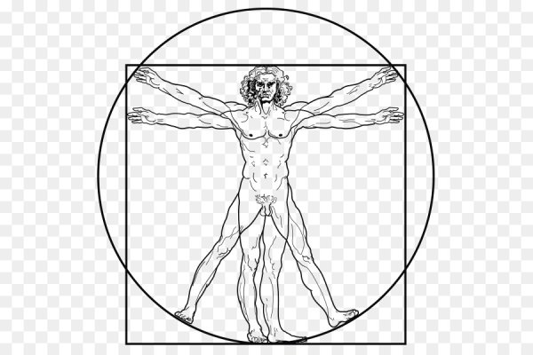 Леонардо да Винчи Витрувианский человек