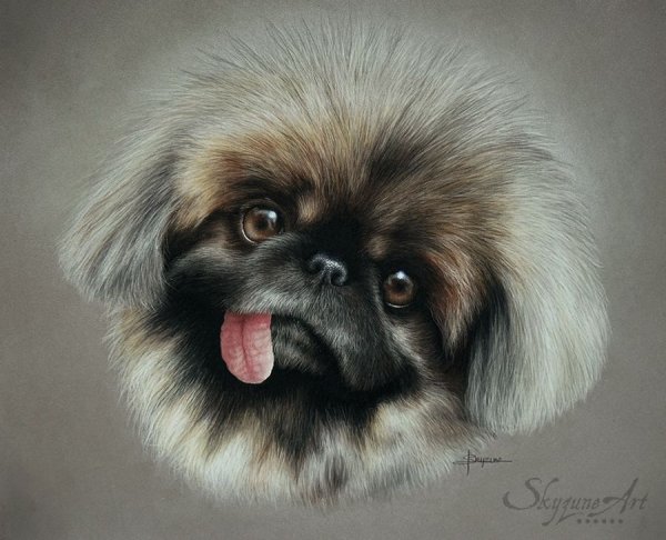 Пекинес мультяшный