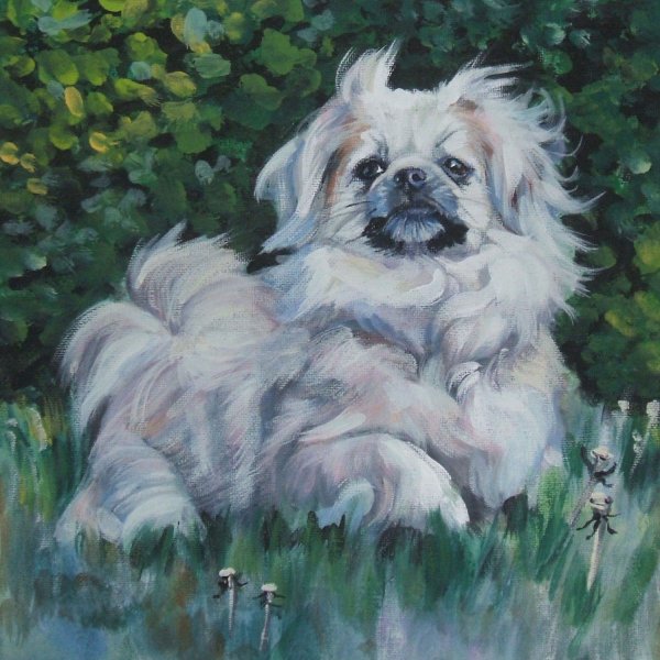 Пекинес карандашом